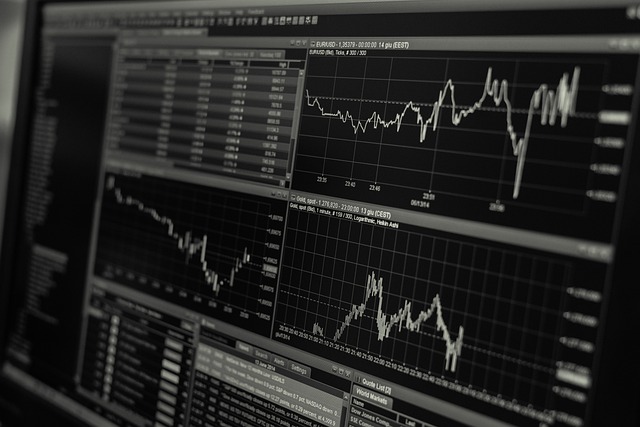 Stock Market vs. Crypto: Where Should You Invest?